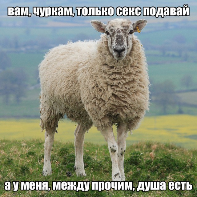 Махачкалинка сбежала от родных в Европу и стала порнозвездой. Домой ее совсем не ждут