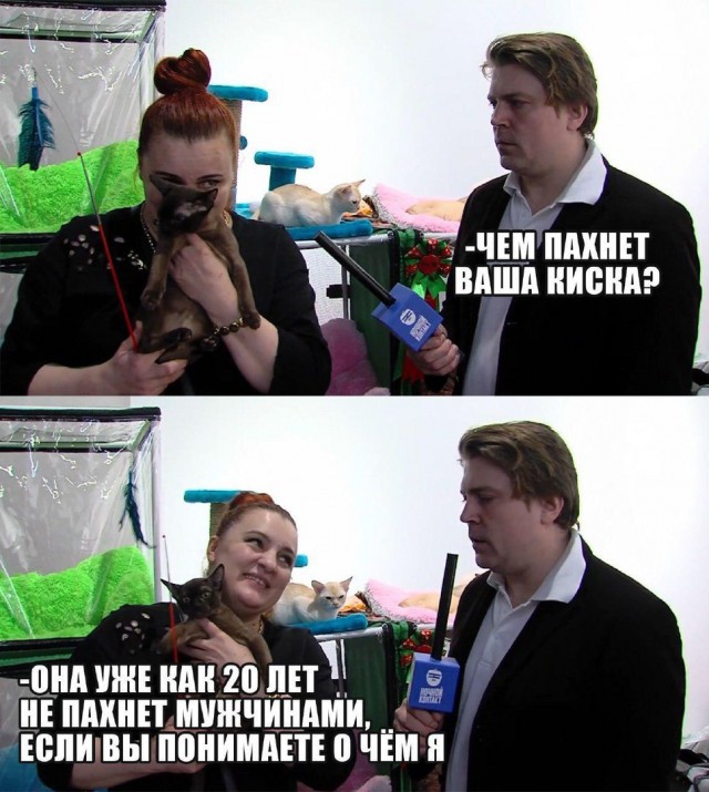 Нестандартный юмор