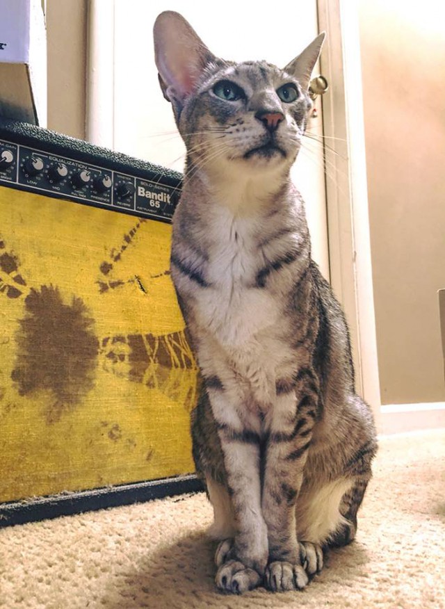 Картинок всяких разных пост