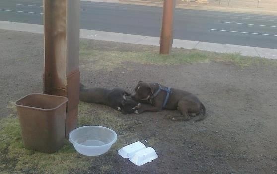 Просто сердце разрывается