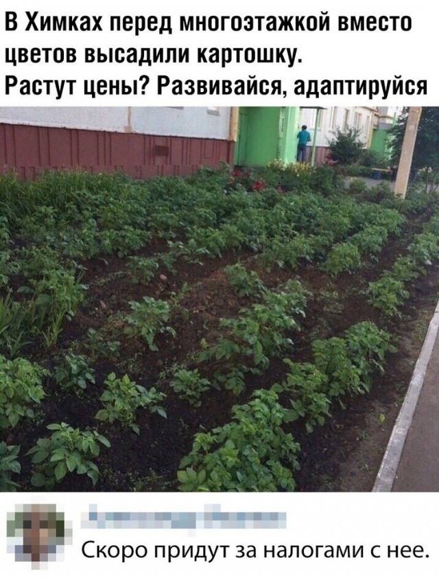 Прикольные комментарии и высказывания из Сети