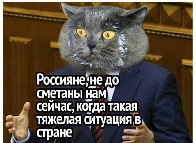 Мэр Подольска подал в суд на жительницу города, которая обозвала его жирным