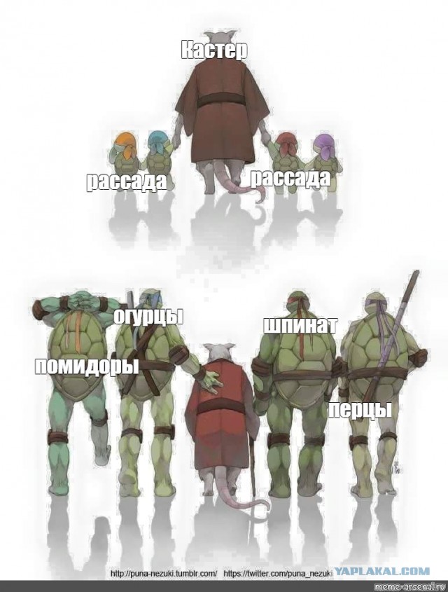Собрать и плакать