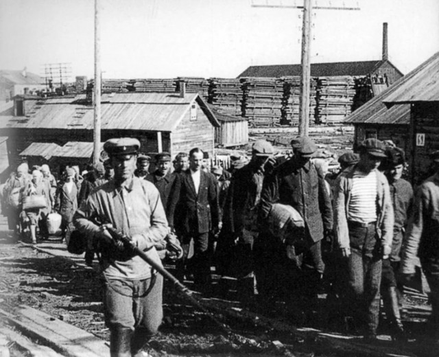 Националист по сути