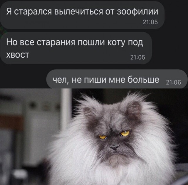 Солянка из картинок разных, для настроения или тупого "втыкания"