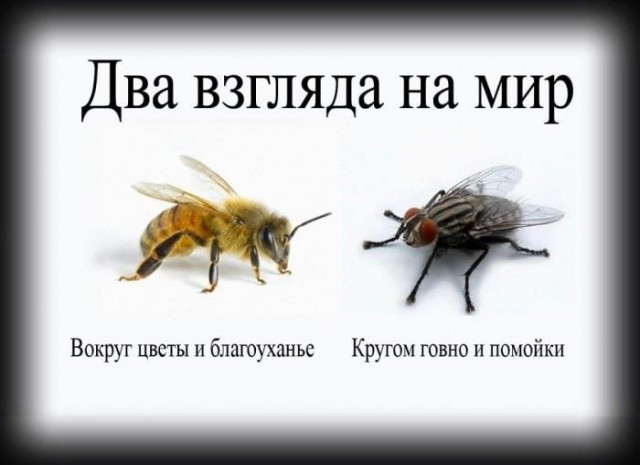 Баянисто-небаянистый юмор 19.10.21
