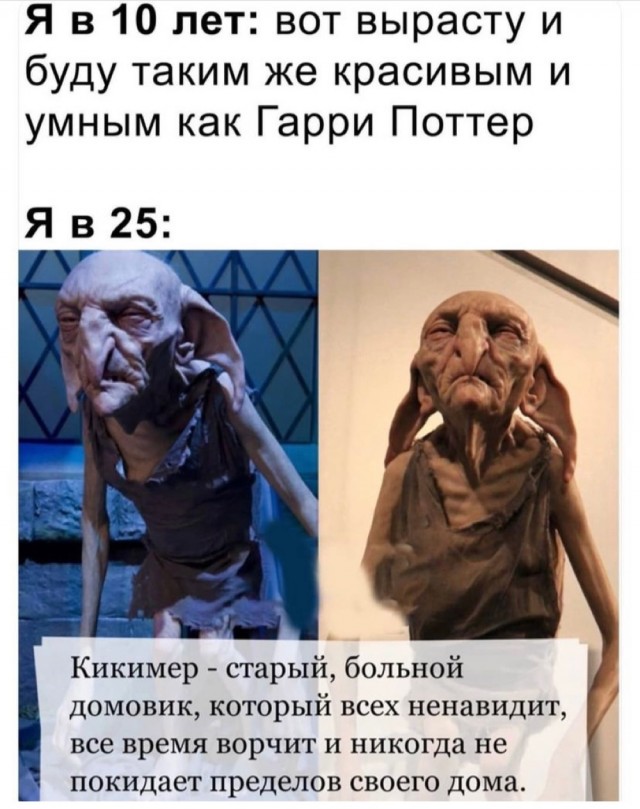 Картинки и мемы всем прекрасных выходных
