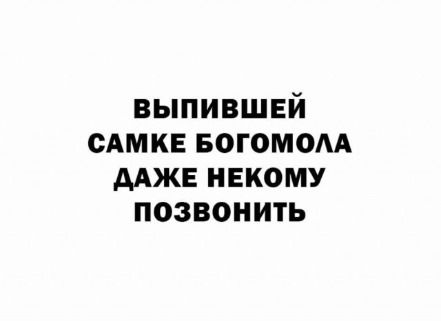 Алкопост 24.12.21