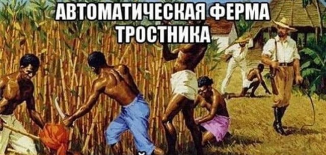 Аморальная деградация