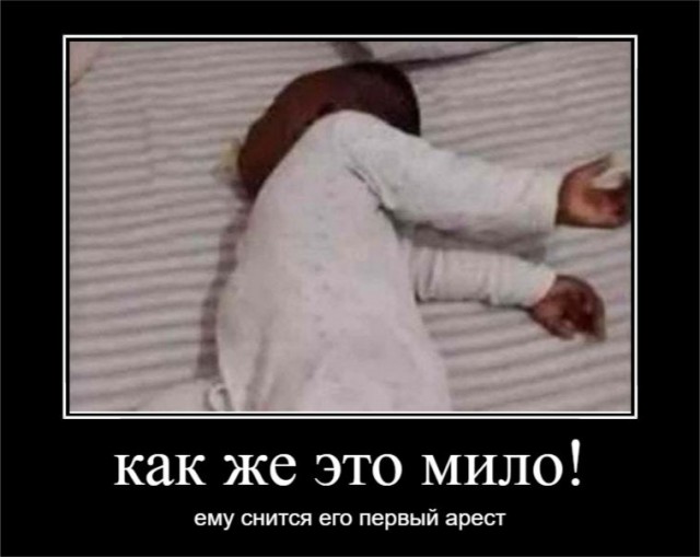 Чуток картинок 25.01.22