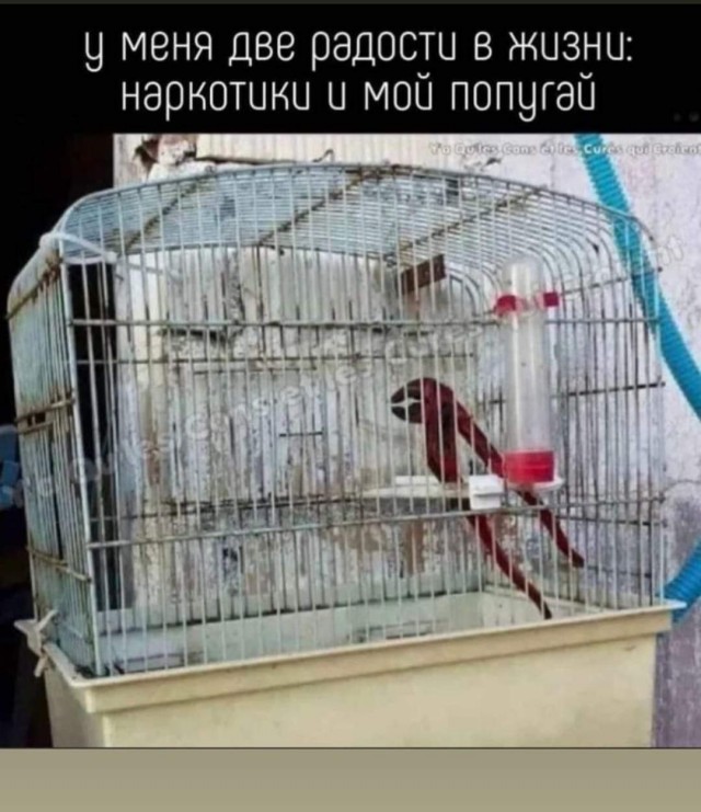 Картинки с надписями и всякие жизненные фразы