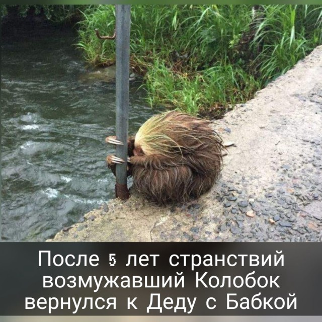 Так себе картинки 17.04.22