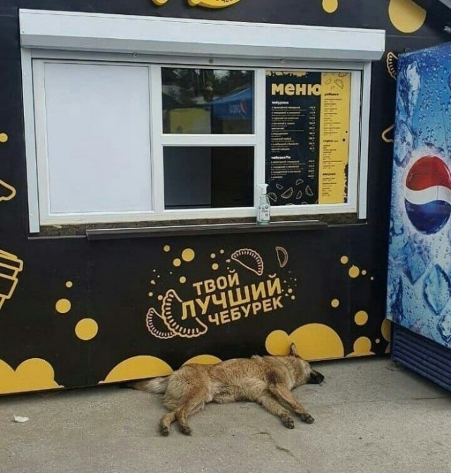 Прикольные и просто красивые картинки 27.04.2022