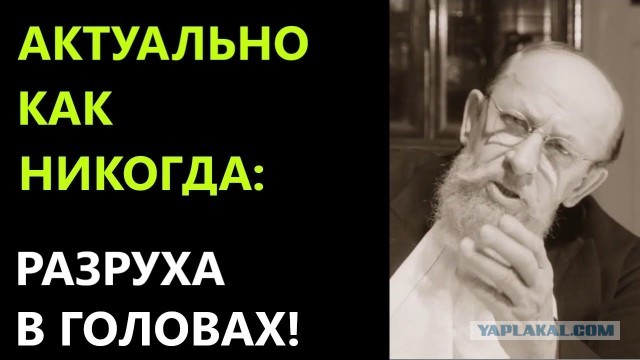Избавились от свиноты у реки