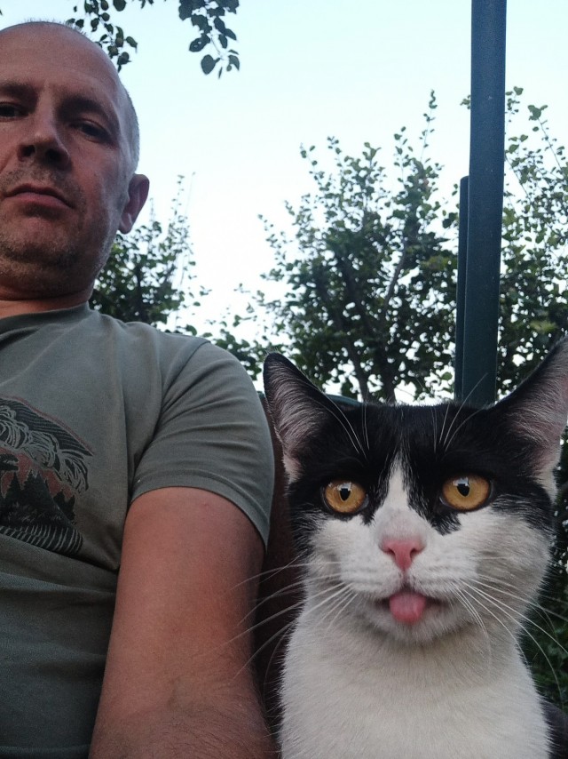 Ура! Котовторник.