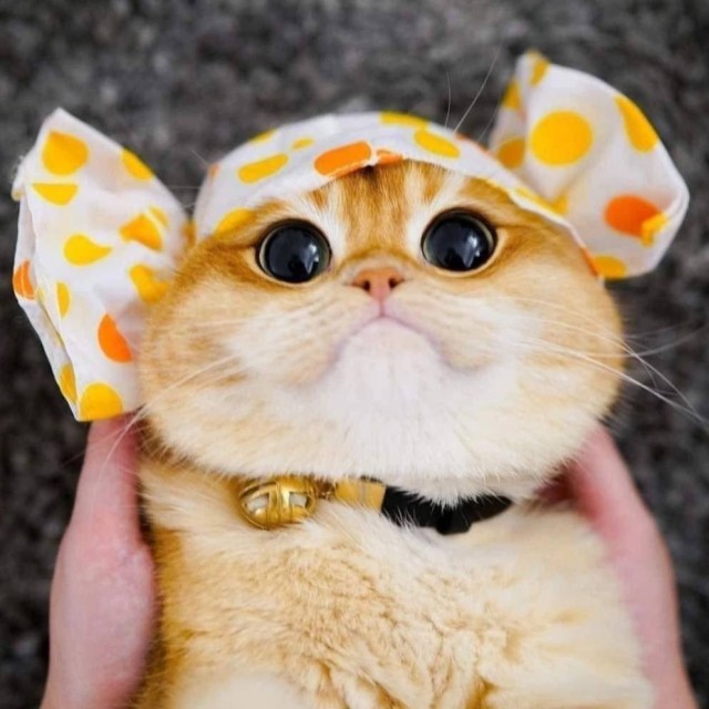 Вам нужно взглянуть