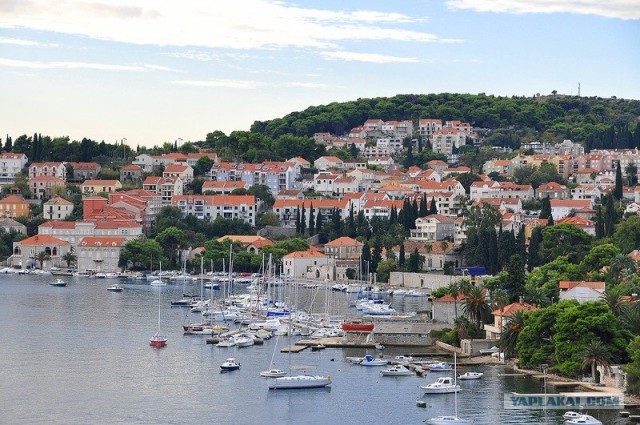 Любовь с первого взгляда