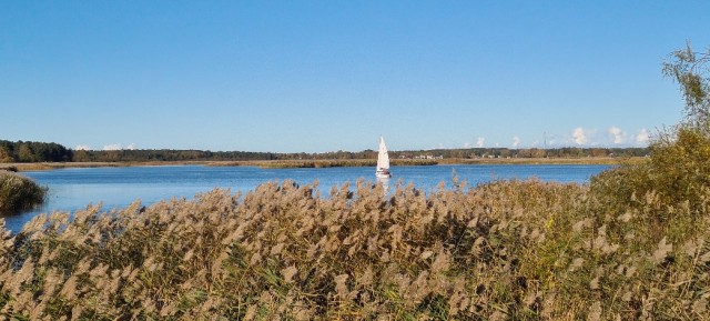 Поделимся красивыми фото с телефона?