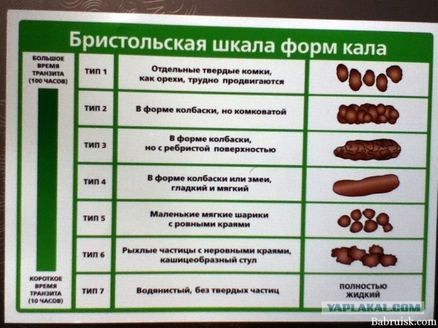 Путин заявил, что убедился в том, что 99,9% россиян готовы положить все в интересах Родины