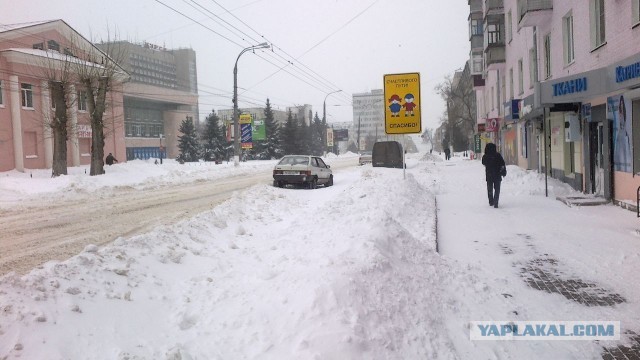 Весна пришла,весне дорогу!