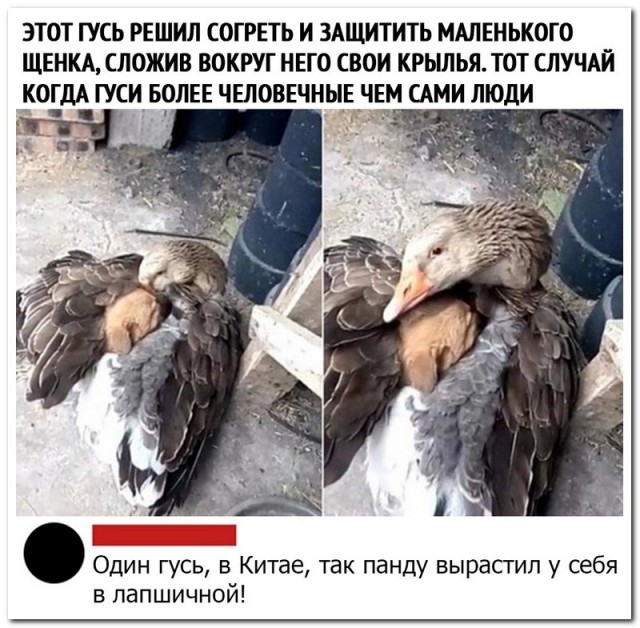 Забавные комментарии из социальных сетей (20.03.23)