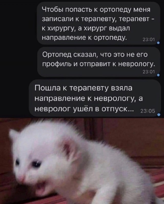 Весёлый полтишок 21.03.23