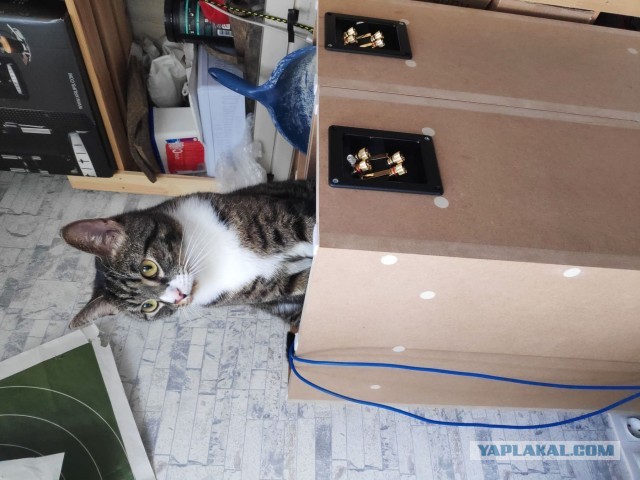 Как мы с "лохматым" колонки делали