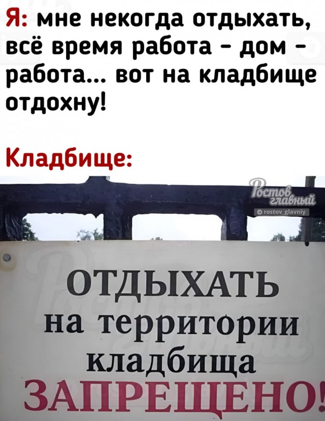 Весёлый полтишок 23.07.23