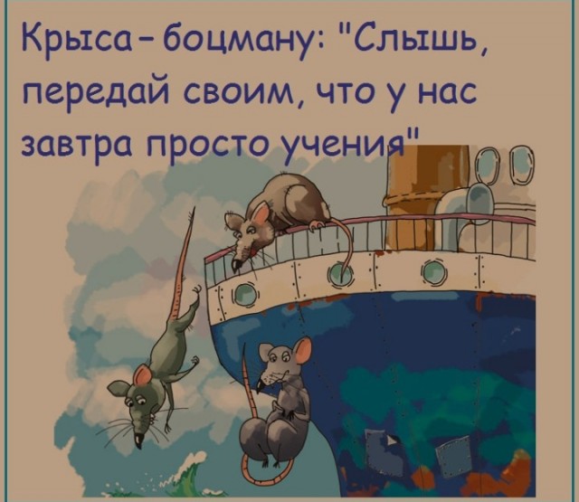 В России принят закон об исламских кредитах без процентов