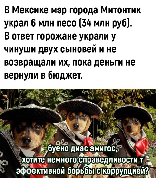 Так себе картинки 04.09.23