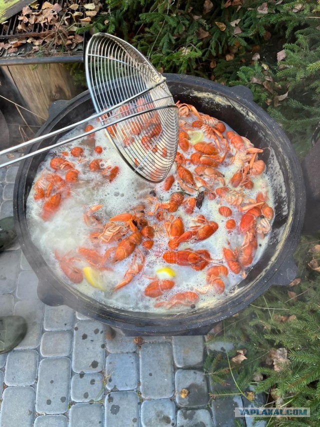 Варим раков. Рецепт или субботний пост...