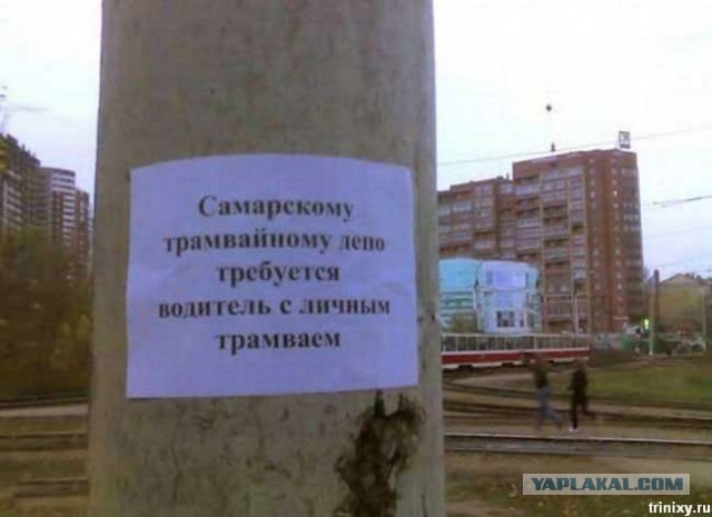 Якась скотина