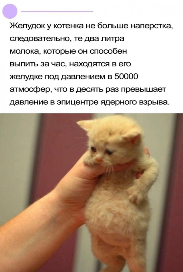 Так себе картинки 16.01.24