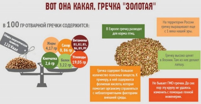 Почему в США и Европе не едят гречку? История замкнутого круга и англичанки в Сибири