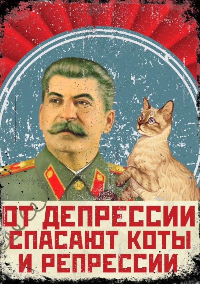 Прикольные и просто красивые картинки 07.05.2024