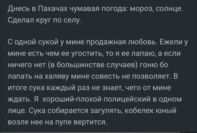 14 мая в Пахачах мокрая метель