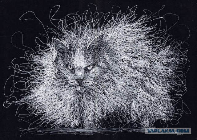 Белым по черному-2