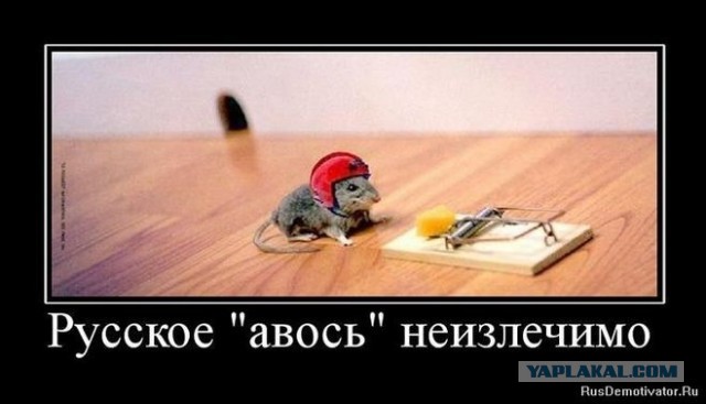 Русский алкоголизм и магия авось