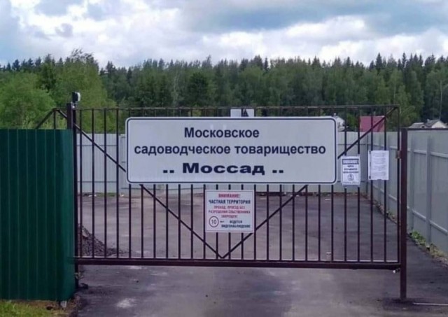 Среда пришла - неделя прошла, дорогие деграданты