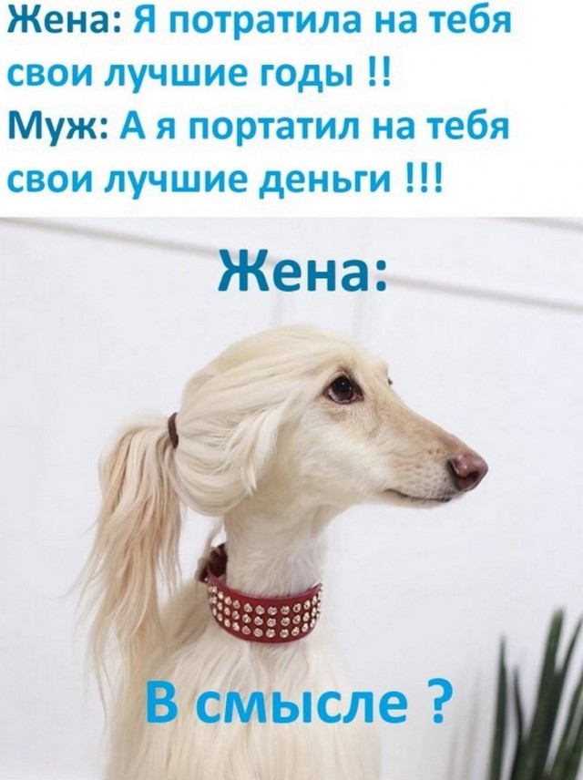 Так себе картинки 10.03.25