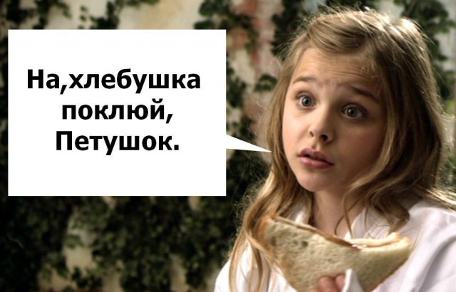До 3 лет хозяину собаки за смерть человека