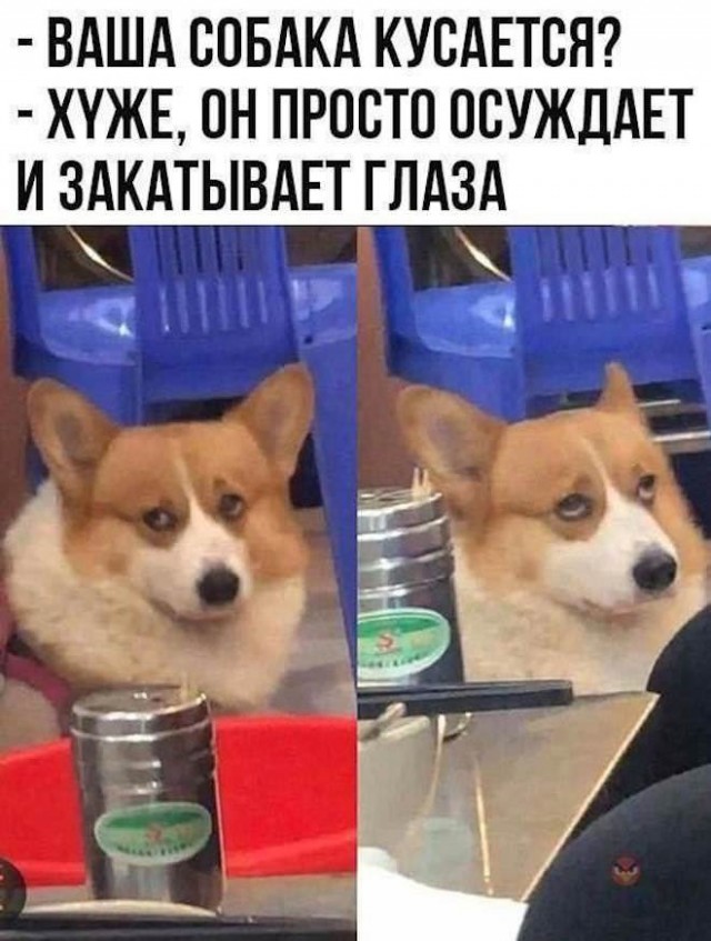 Завалялось тут случайно немного забавных картинок