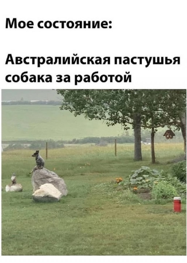Так себе картинки 14.06.25