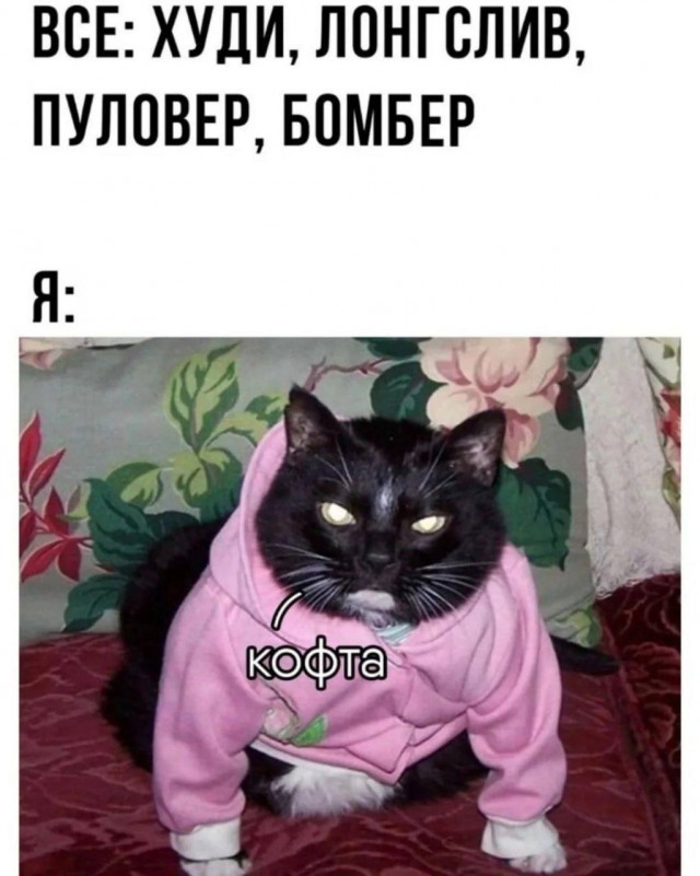 Веселые картинки во вторник (29.07)