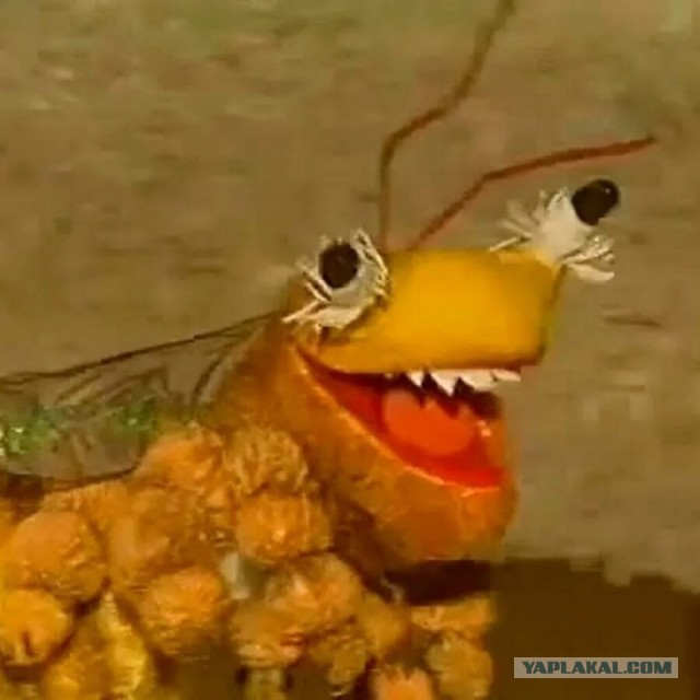 Почему шмели лучше пчел.