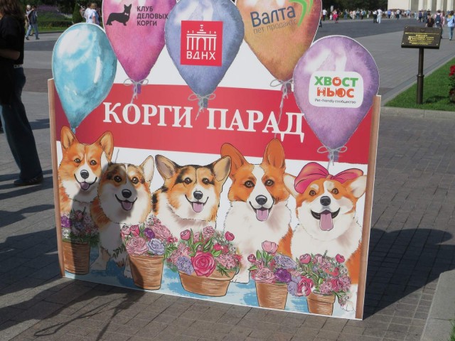 Парад корги в Москве на ВДНХ