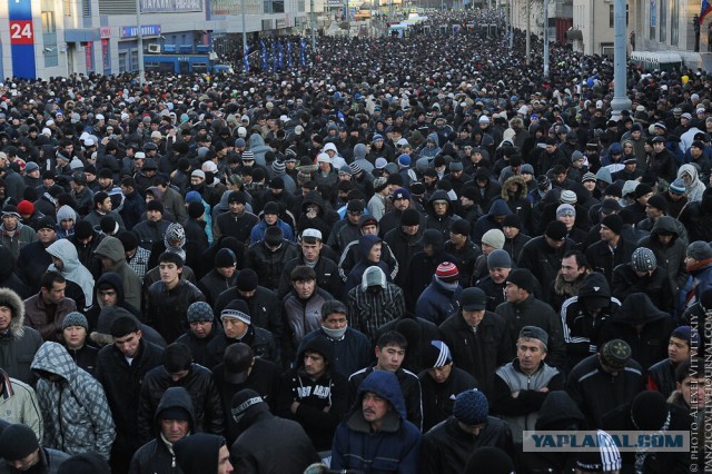 Неандертальцев можно вернуть в течение 20 лет