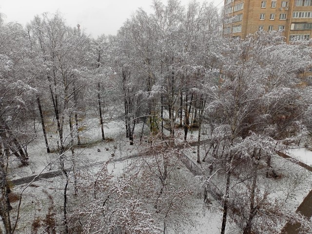 Зима, блеать