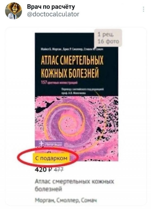 Среды картинки