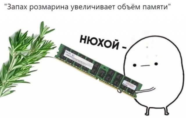 Картиночки, баянчики 10 декабря